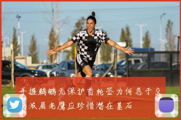 手握鹈鹕无保护首轮签为何急于交易浓眉老鹰应珍惜潜在基石
