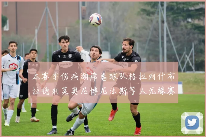 本赛季伤病潮席卷球队格拉利什布拉德利莱奥尼博尼法斯等人无缘赛季余下比赛