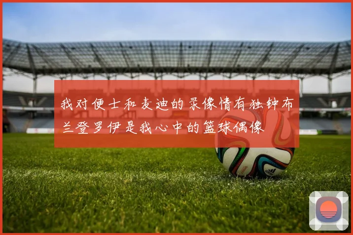 我对便士和麦迪的录像情有独钟布兰登罗伊是我心中的篮球偶像
